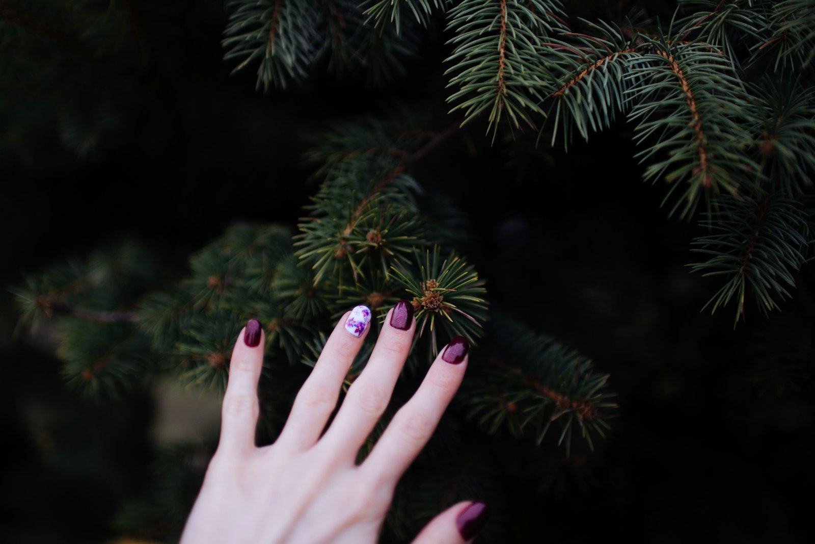 Nikon D5200 + AF-S DX Zoom-Nikkor 18-55mm f/3.5-5.6G ED sample photo. Person touching green plant photography