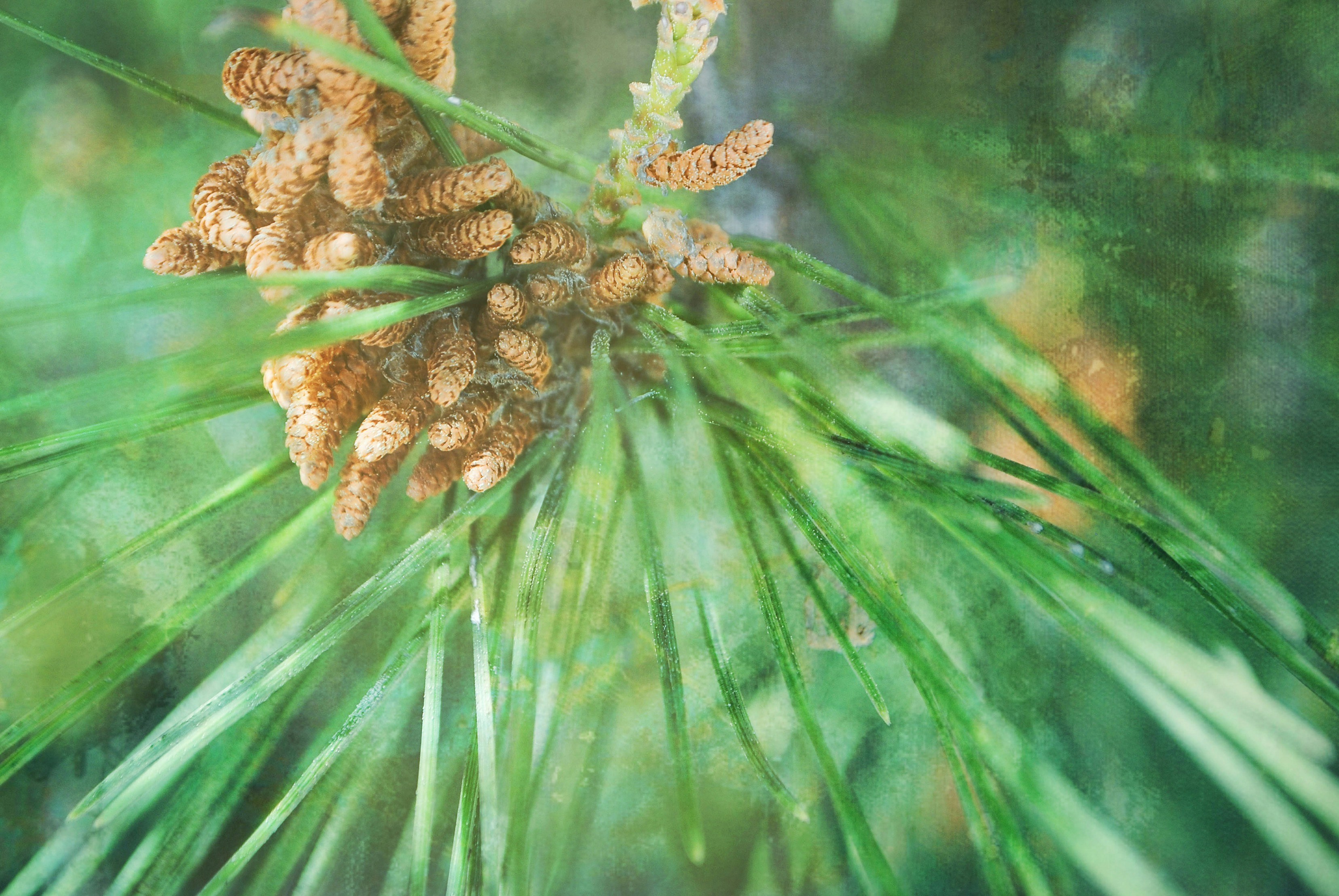 Free Unsplash photo from diana tanase