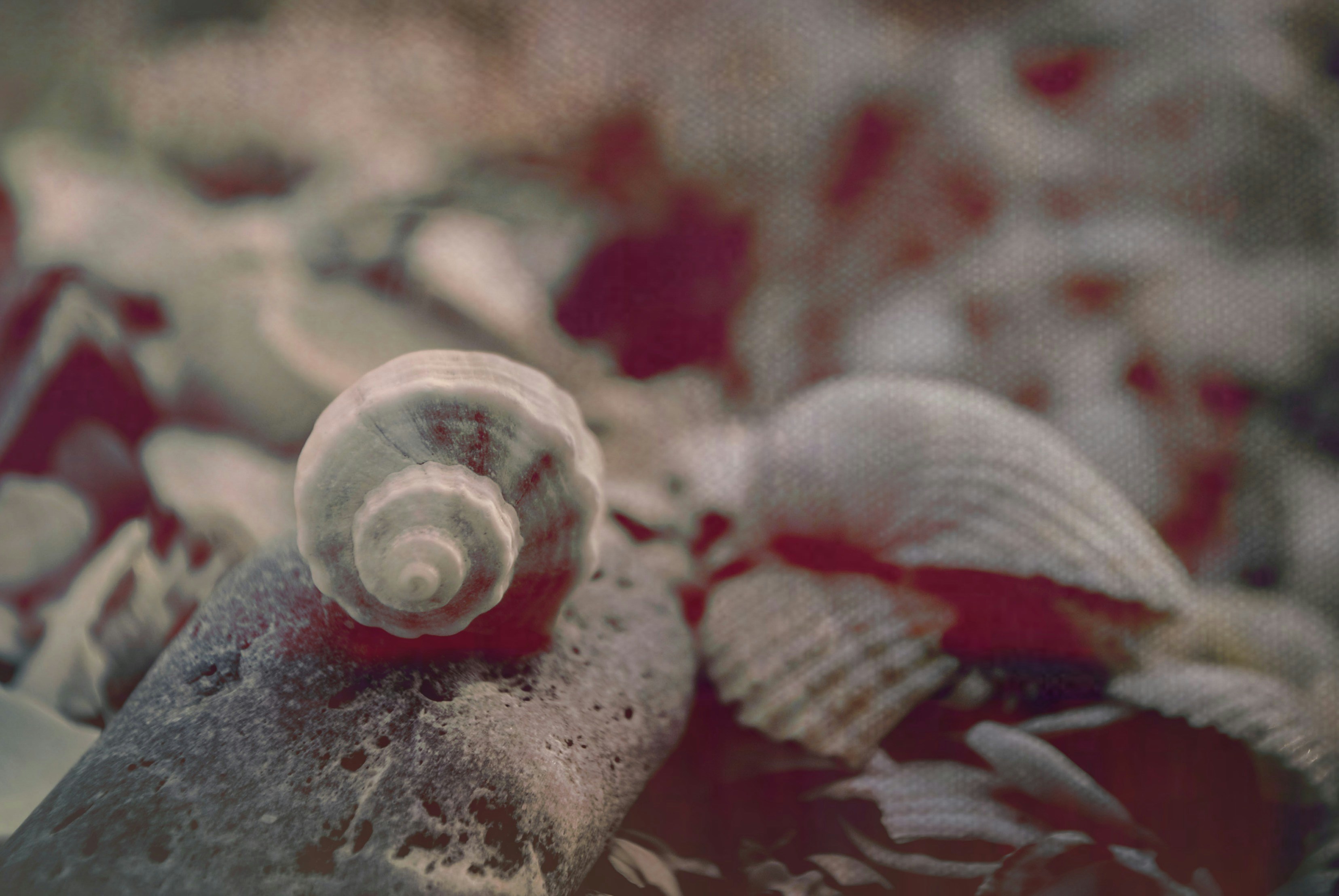 Free Unsplash photo from diana tanase