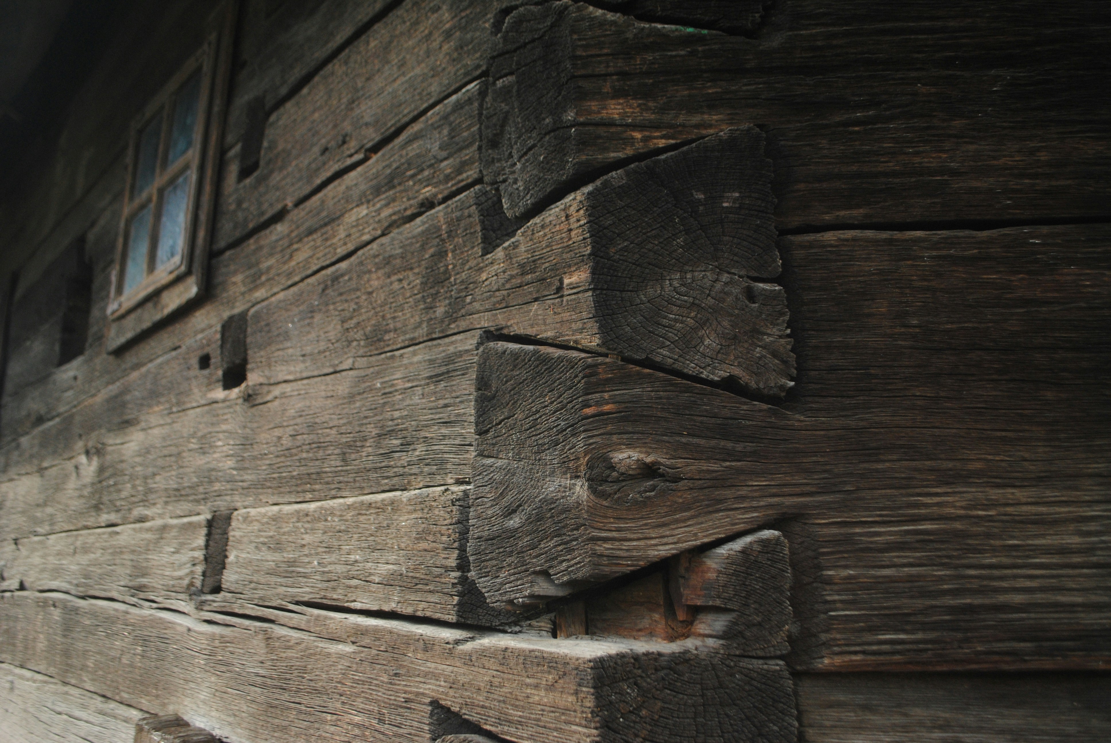 Free Unsplash photo from diana tanase