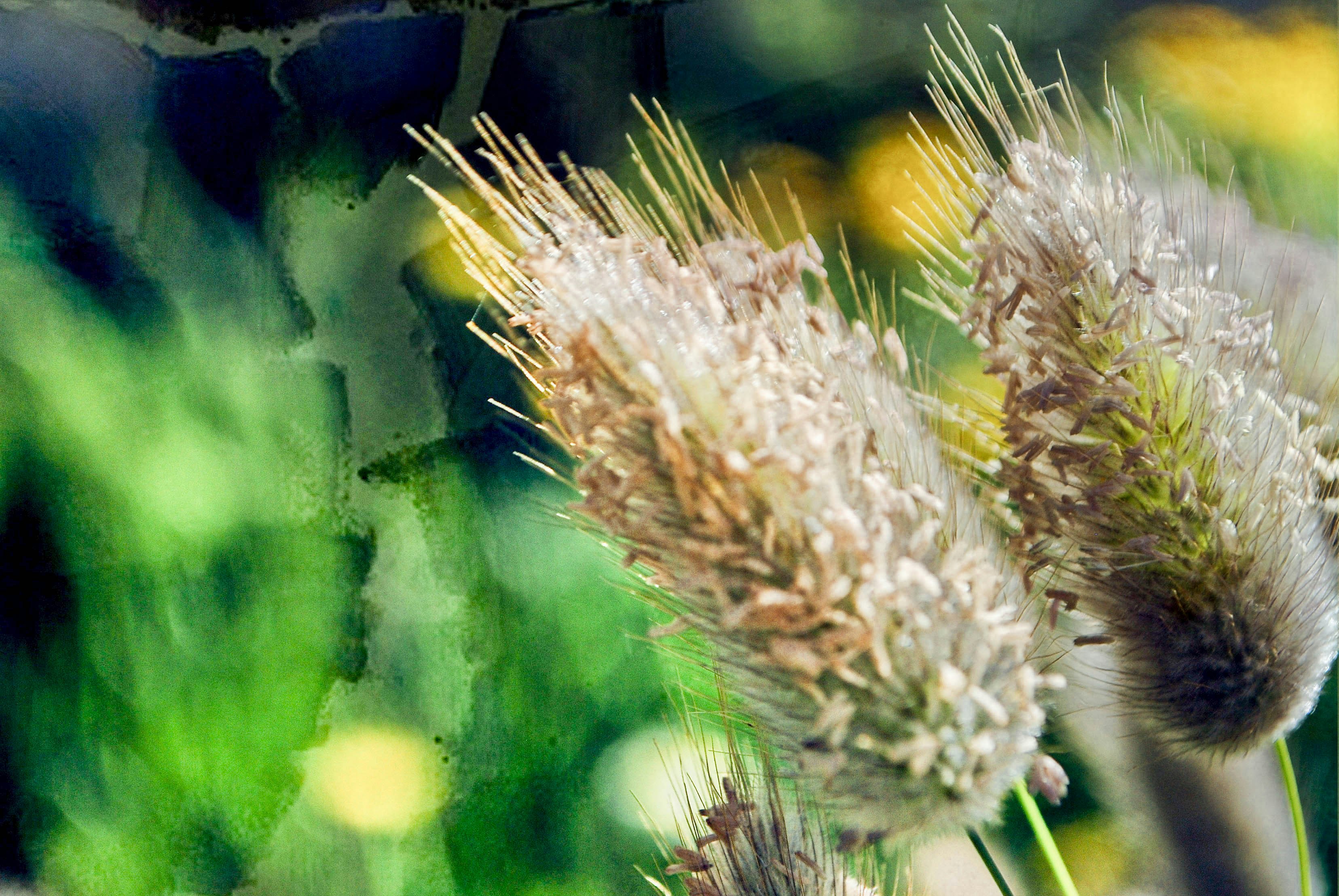 Free Unsplash photo from diana tanase