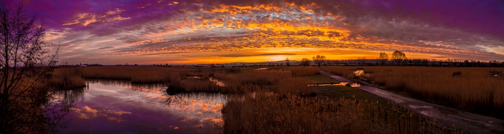 brown grass field during sunset