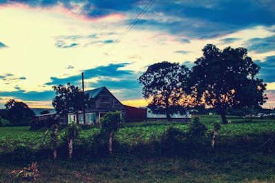 A rural landscape with an old wooden house surrounded by lush green fields and tall trees. The sky is partly cloudy, featuring hues of blue and orange as the sun sets on the horizon.