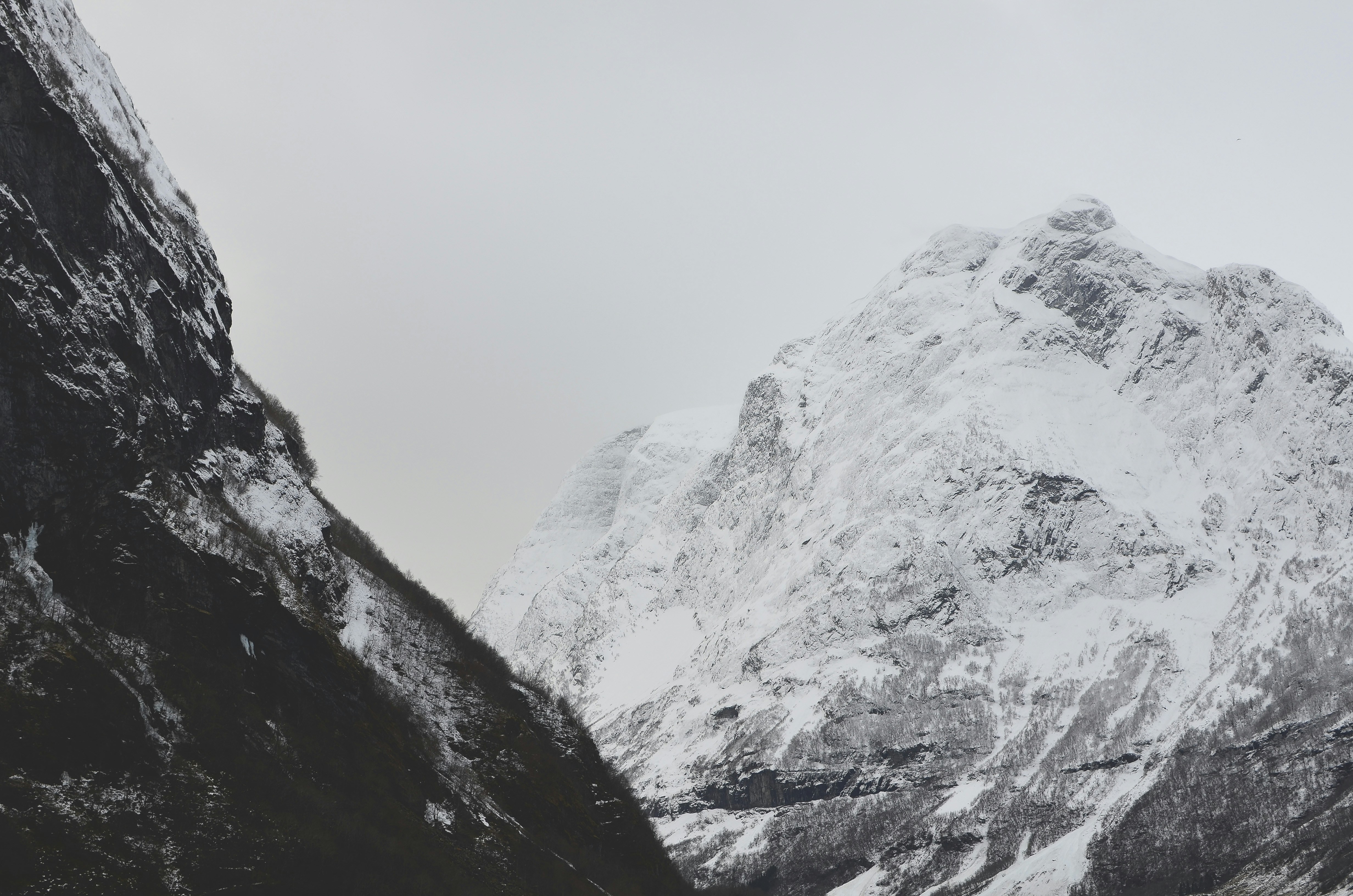 Free Unsplash photo from Laura Aziz