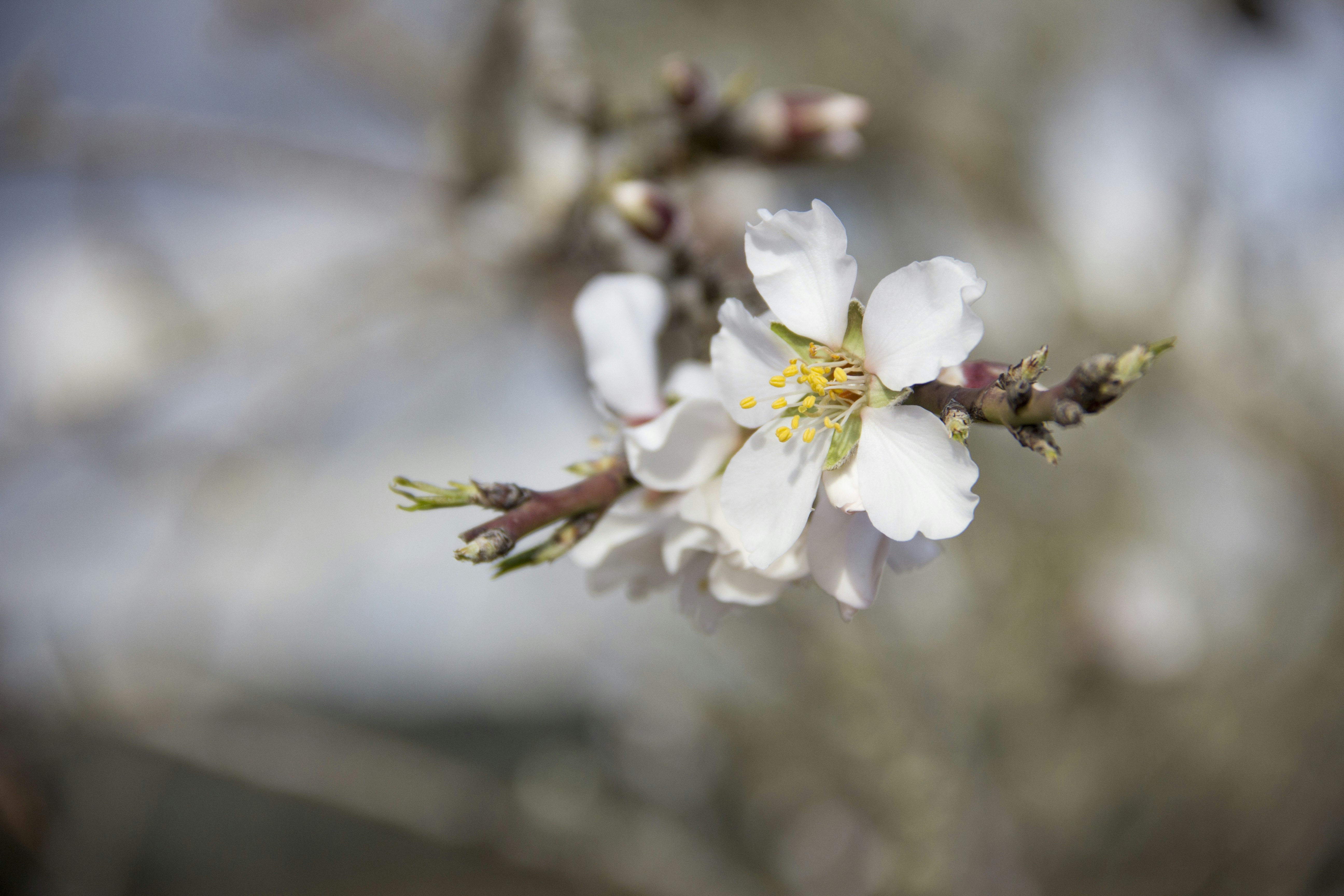 Free Unsplash photo from Nika Fernández