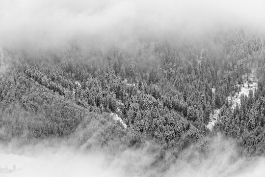 photo of Altenmarkt im Pongau Highland near Ruine Pflindsberg