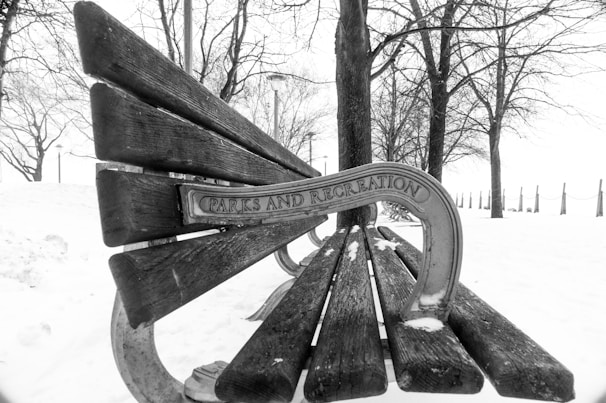 A wooden bench partially covered in snow is situated in a wintry park setting. The words 'Parks and Recreation' are engraved on the metal side arm of the bench. Bare trees are visible in the background, with a snow-covered ground and a few lamp posts lining the area.