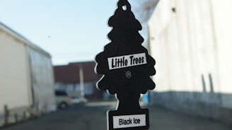 A black, tree-shaped car air freshener labeled 'Little Trees' and 'Black Ice' is hanging in front of a blurred outdoor background. The setting appears to be an alley or street with buildings on either side.