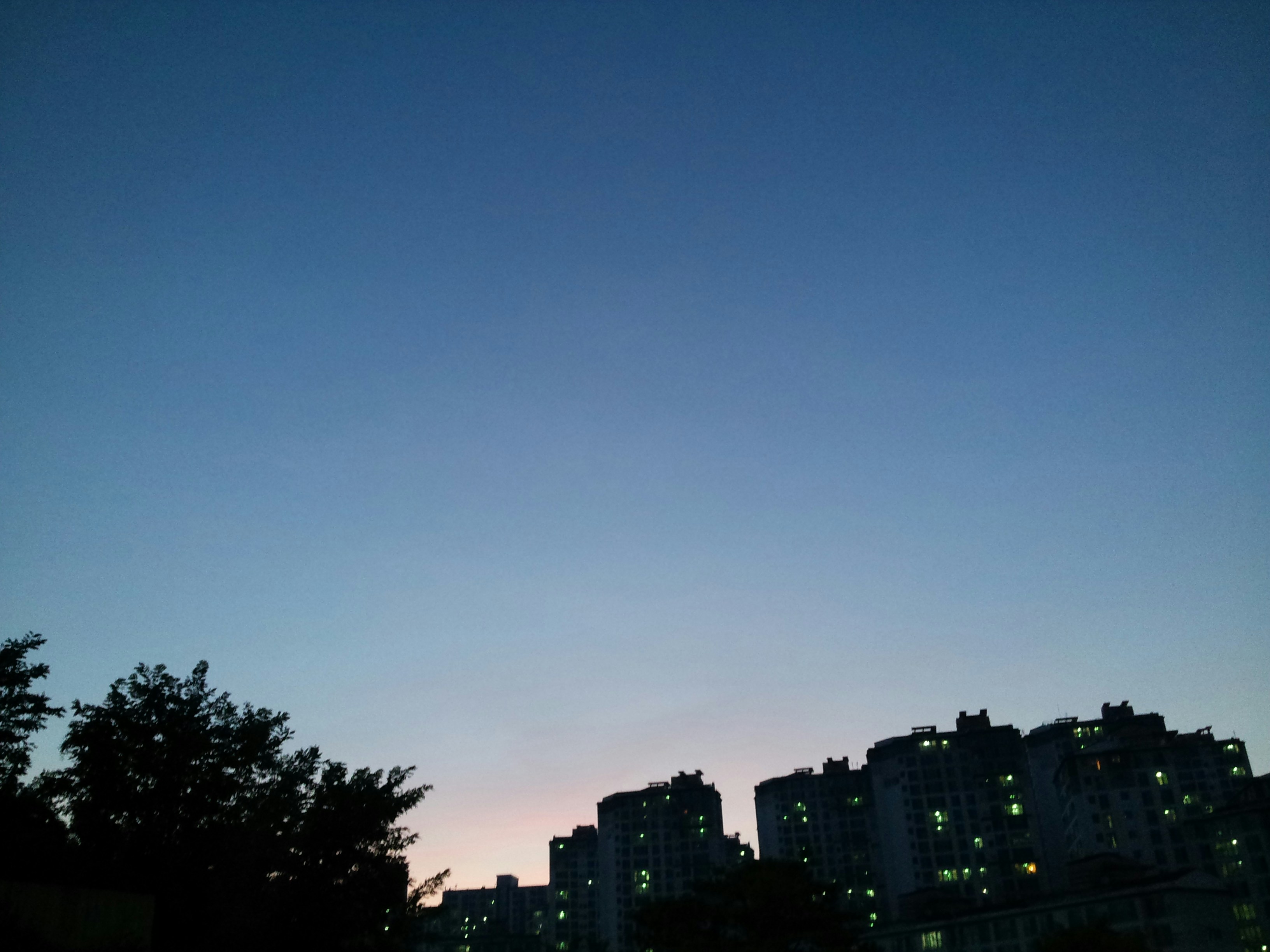 Free Unsplash photo from 소은 임