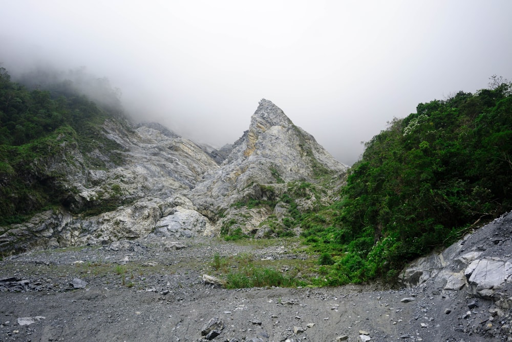 rock formation covered with mist