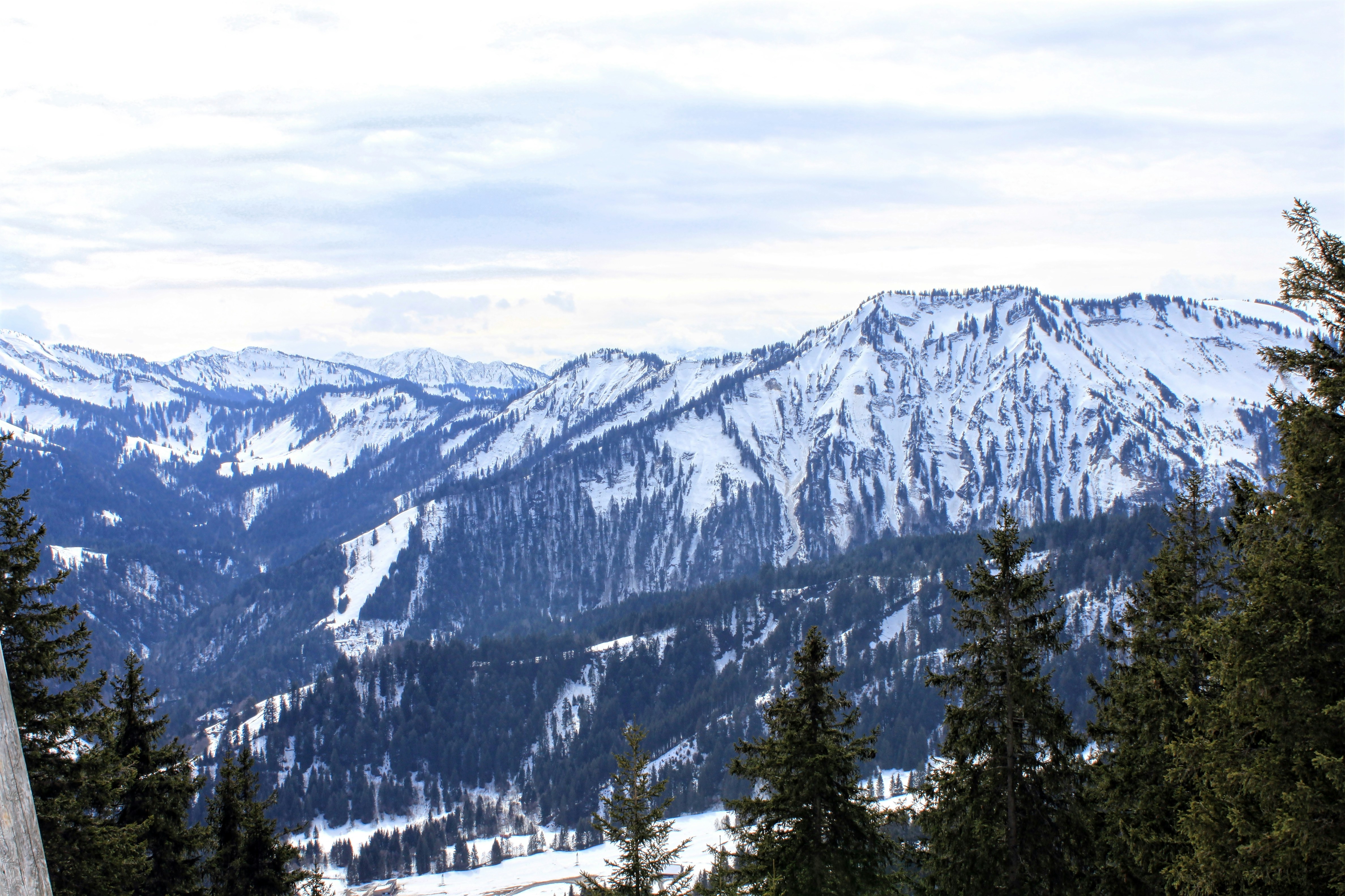 Free Unsplash photo from Lucas Zirovnik