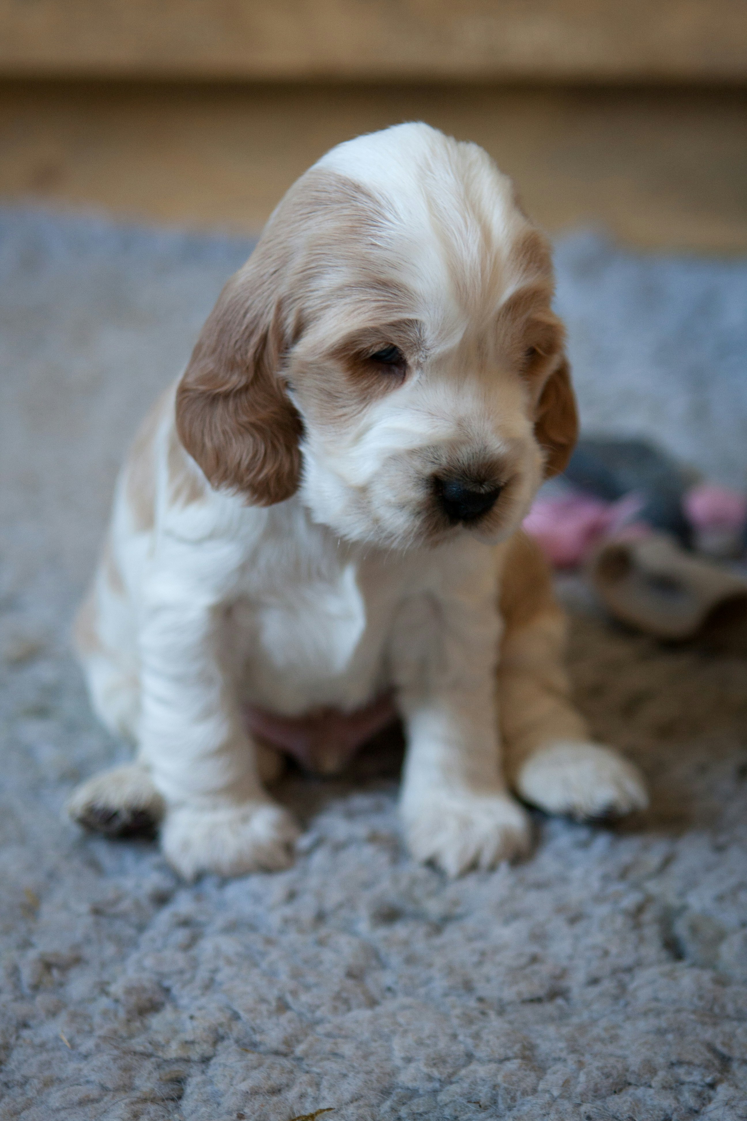 Free Unsplash photo from Ludvig Aust