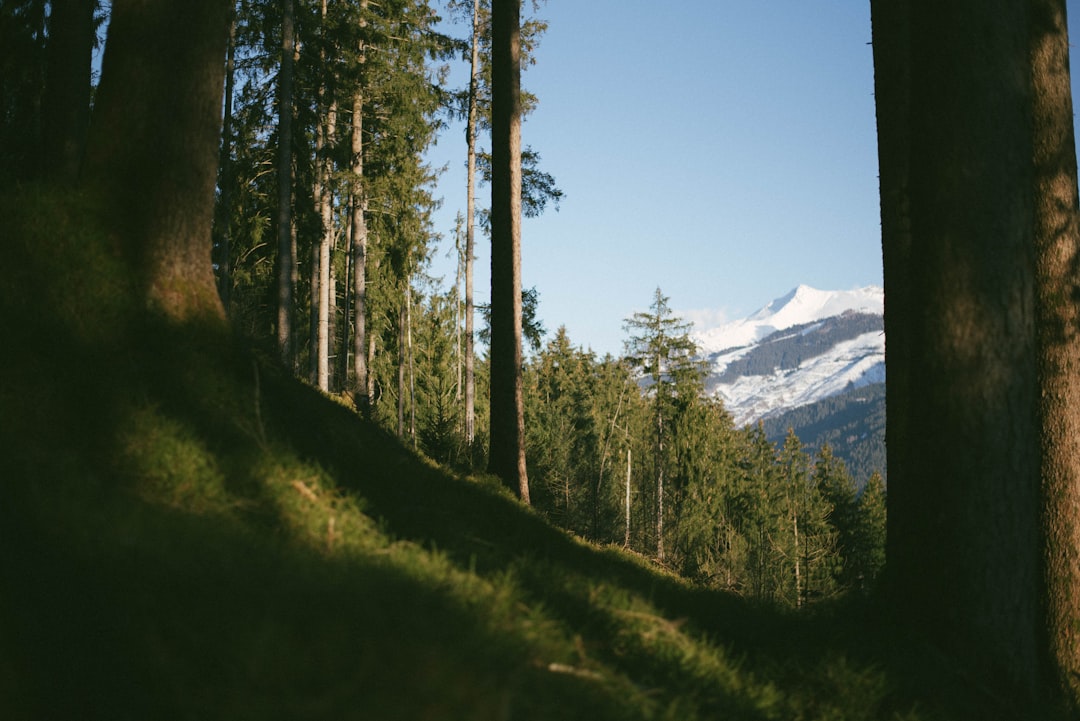 Ecoregion photo spot Niedernsill Mayrhofen