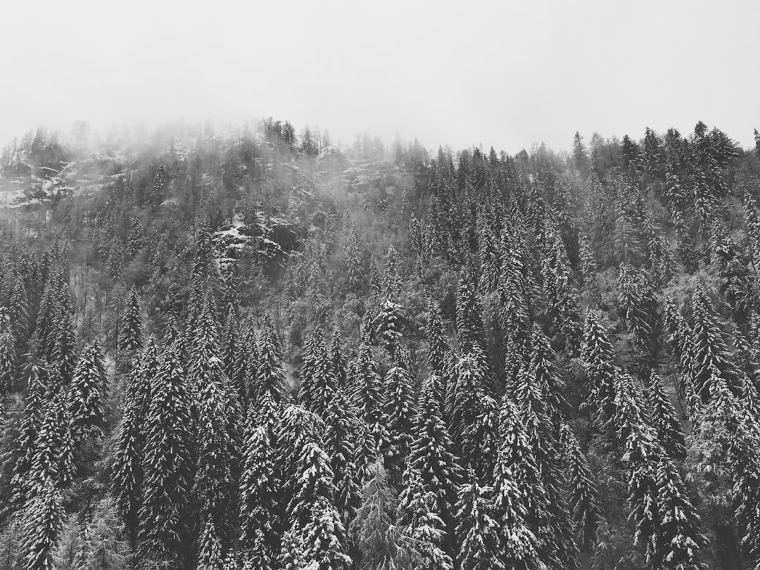 photo of Lofer Natural landscape near Tuxeck