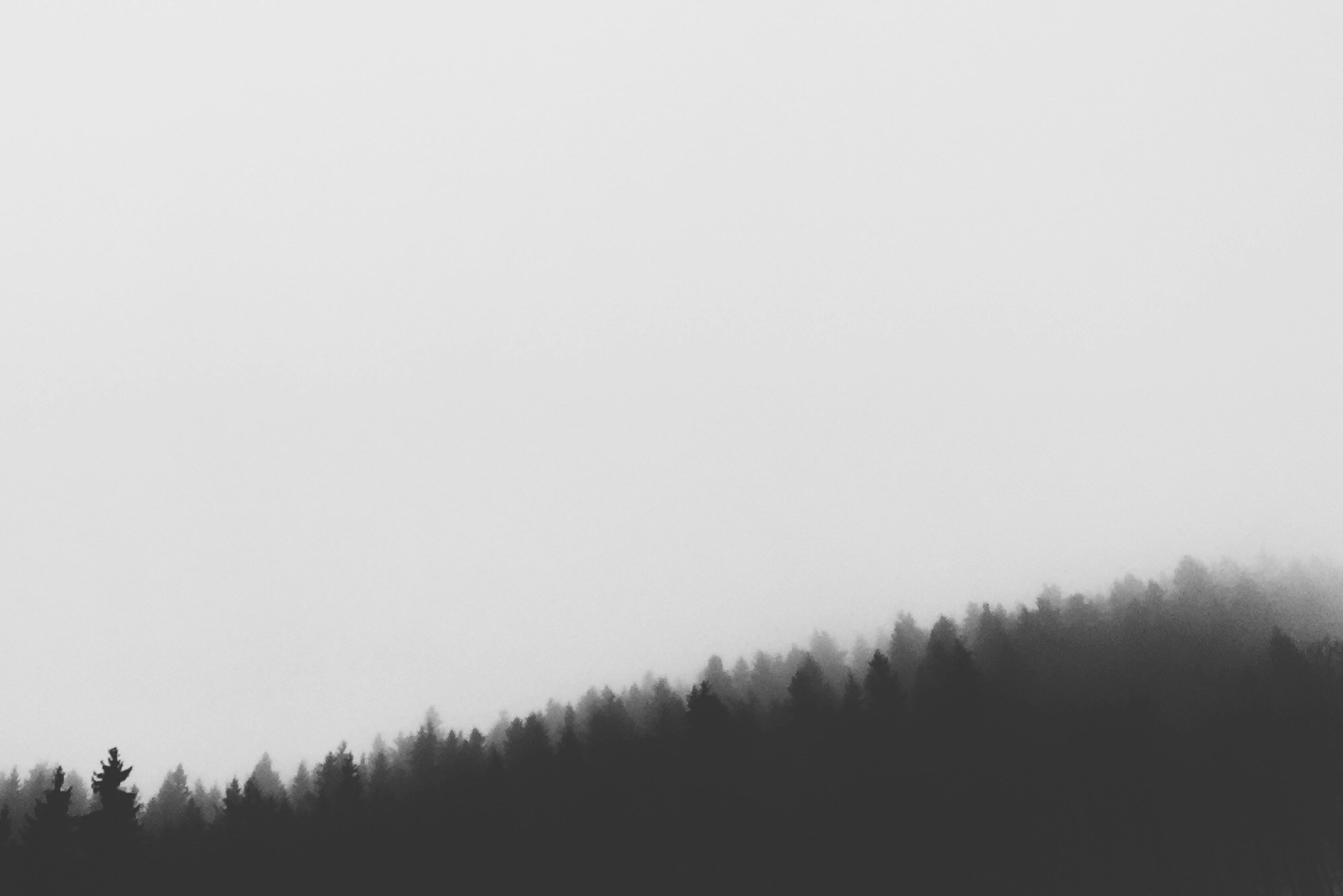 Photo By Stephanie Fox