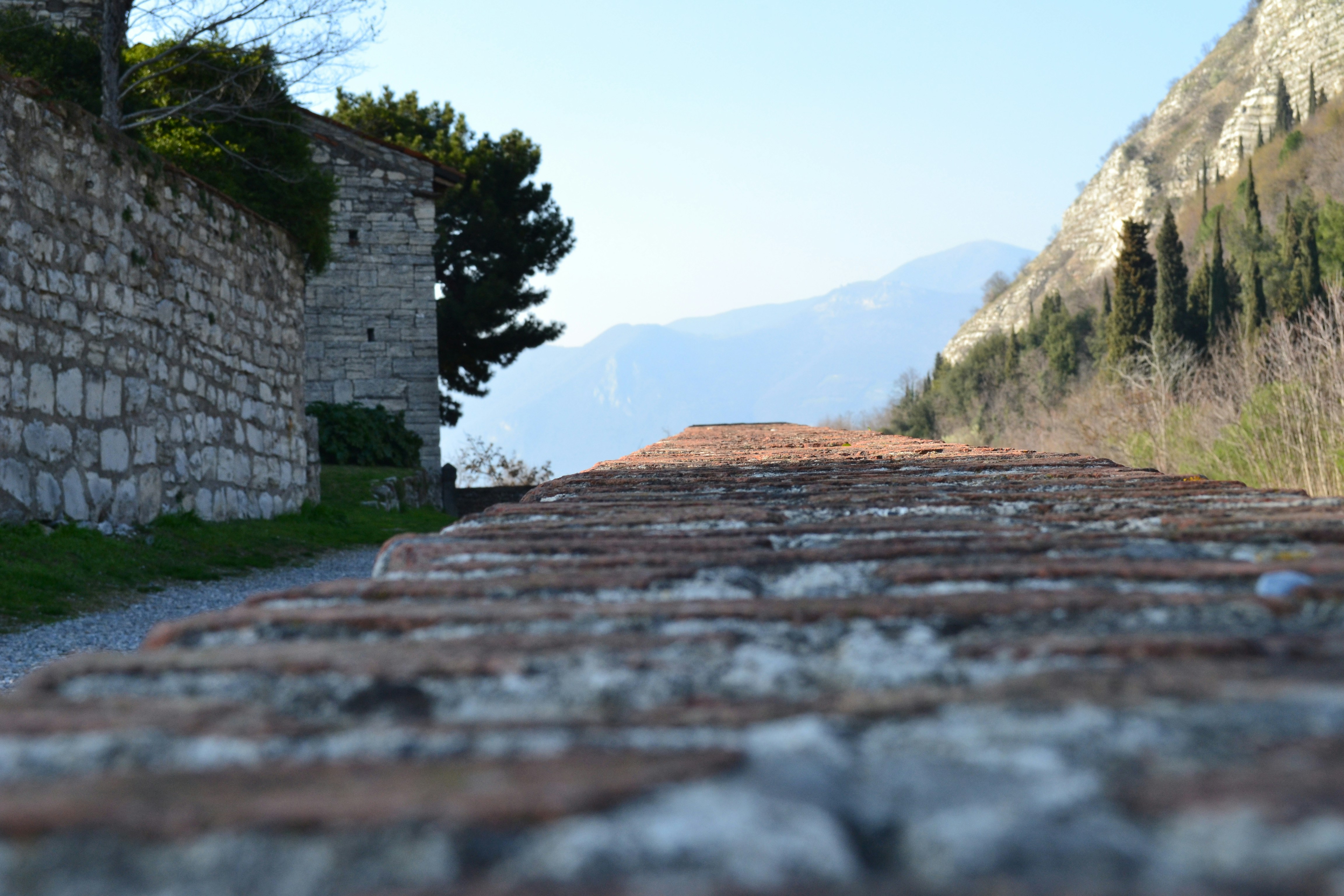 Free Unsplash photo from Fabio Fab