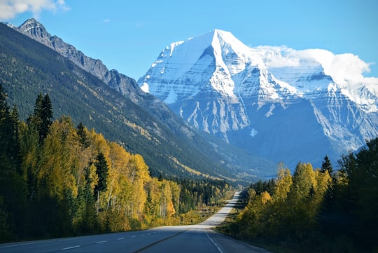 straight road with mountain range nearby in Mount Robson Provincial Park Canada