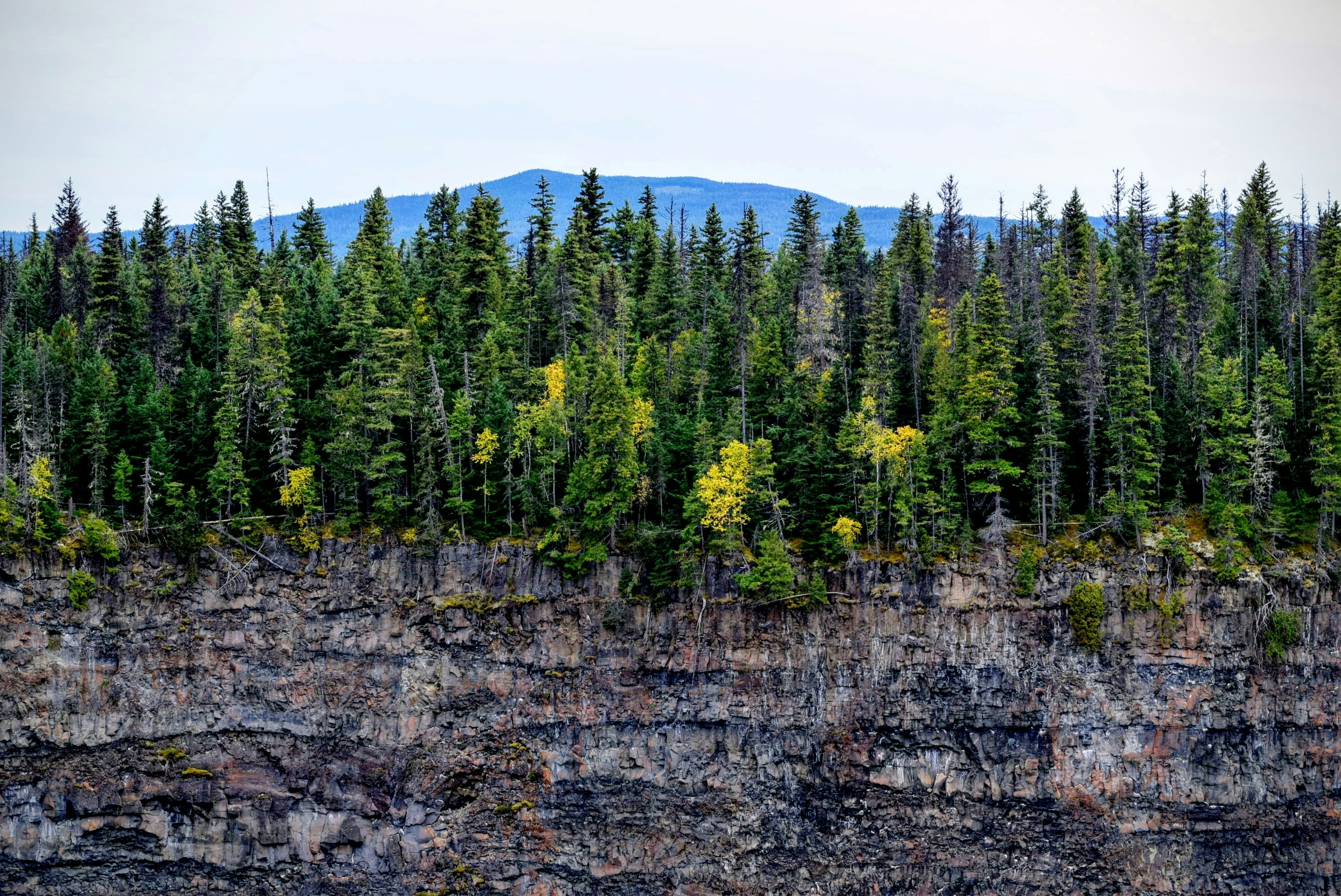 rocky mountain with trees under white sky