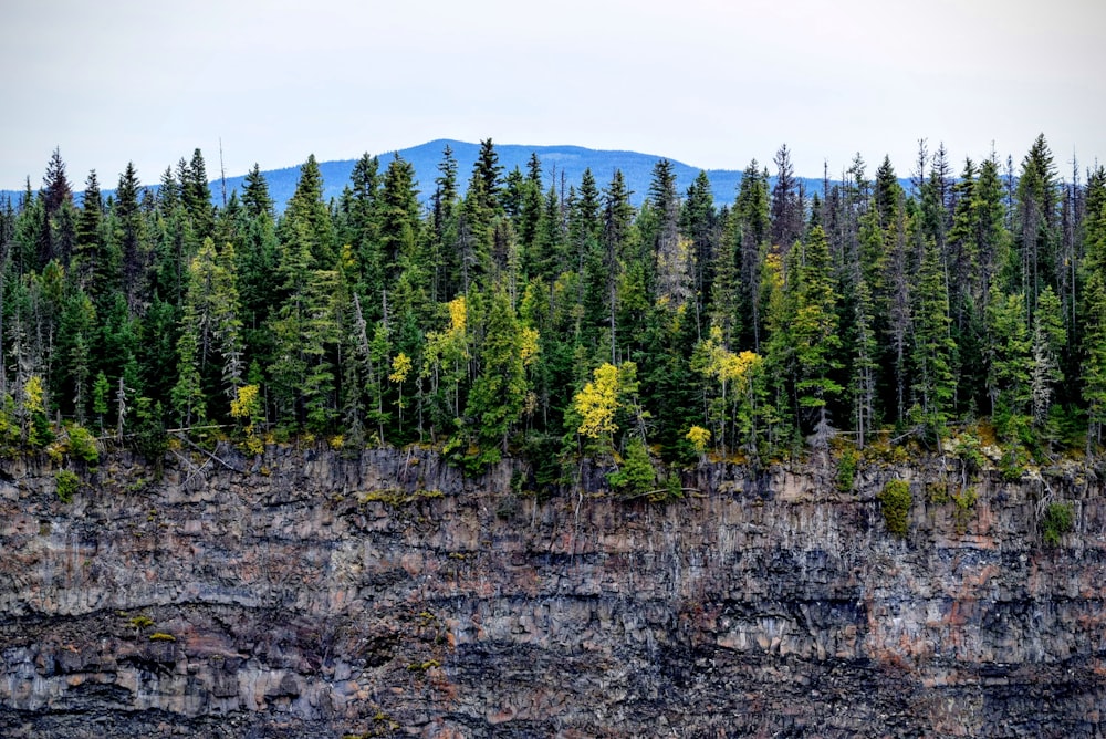 rocky mountain with trees under white sky