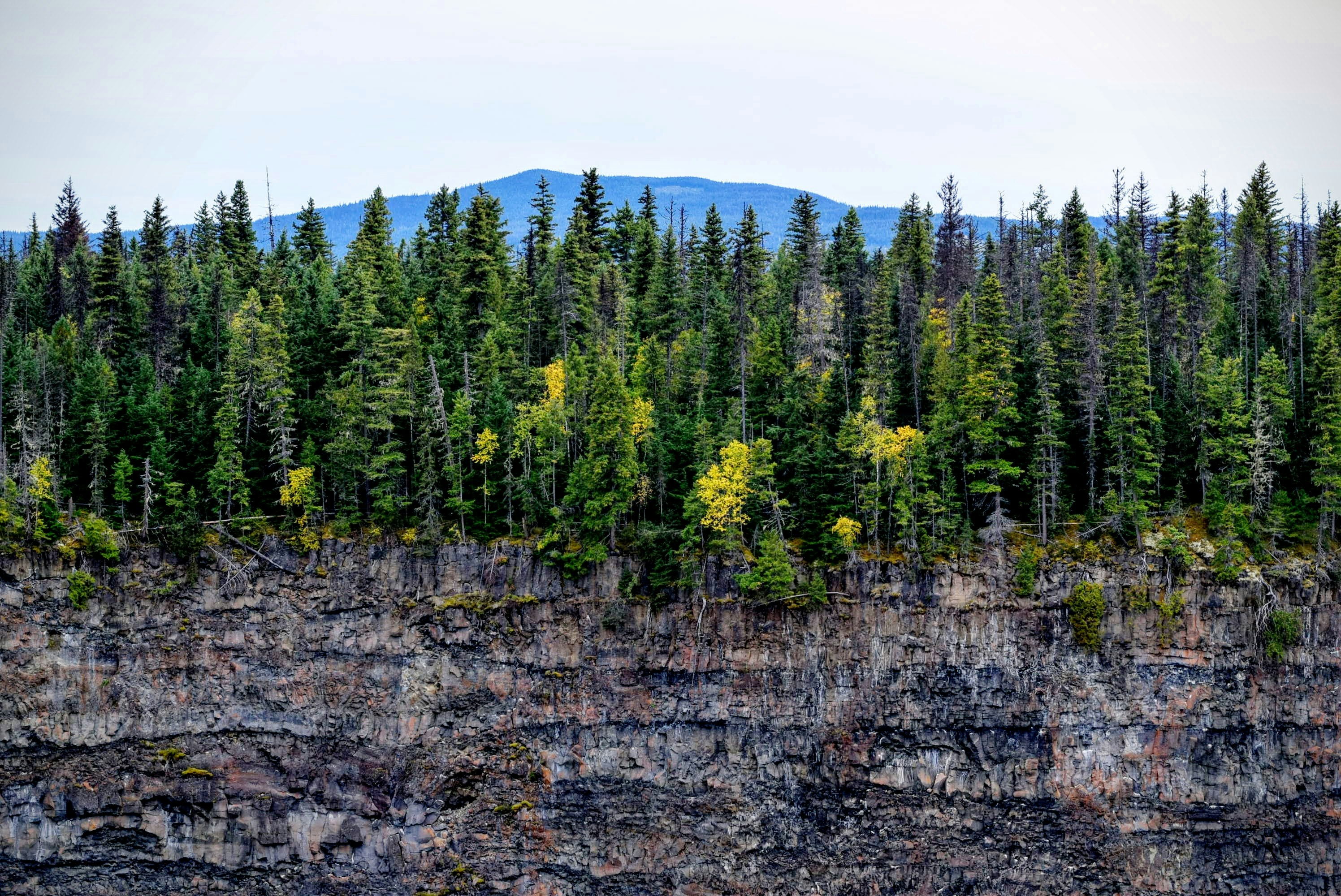 rocky mountain with trees under white sky