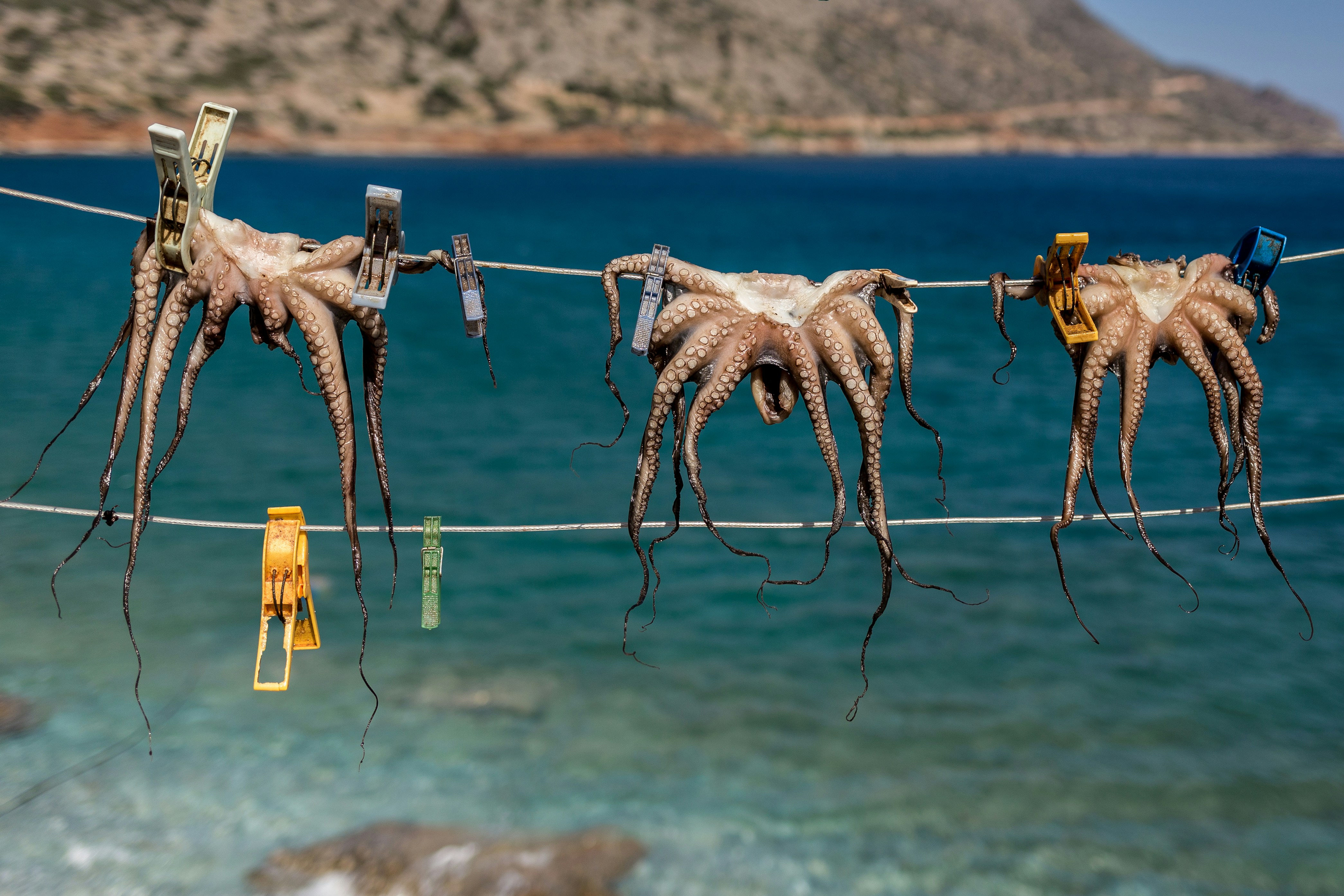 Free Unsplash photo from Fabian Blank