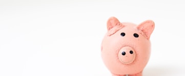 pink pig figurine on white surface