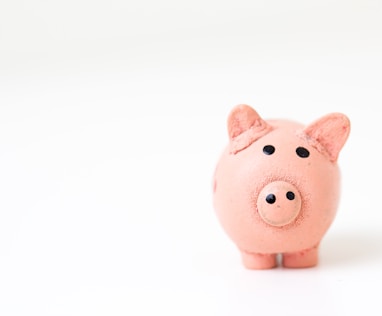 pink pig figurine on white surface