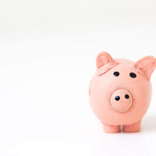 pink pig figurine on white surface