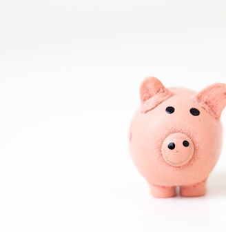 pink pig figurine on white surface