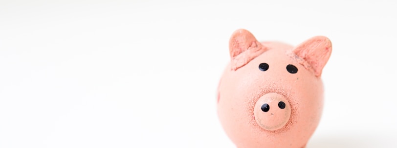 pink pig figurine on white surface