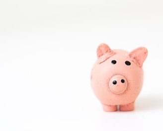 pink pig figurine on white surface