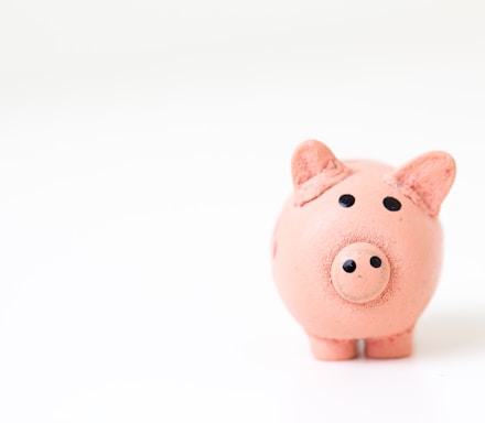 pink pig figurine on white surface