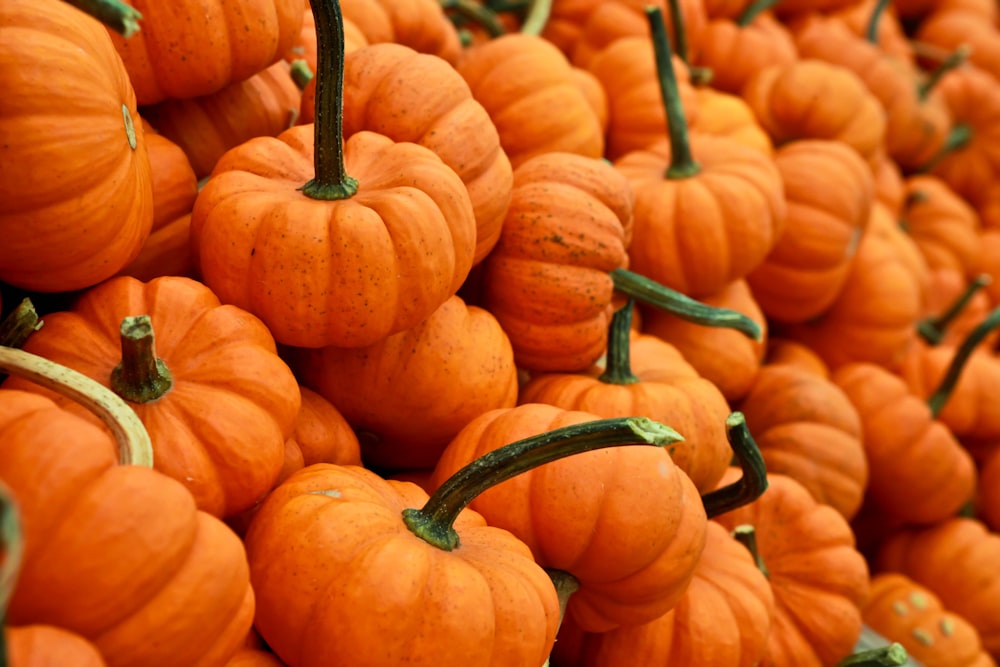 bunch of pumpkin