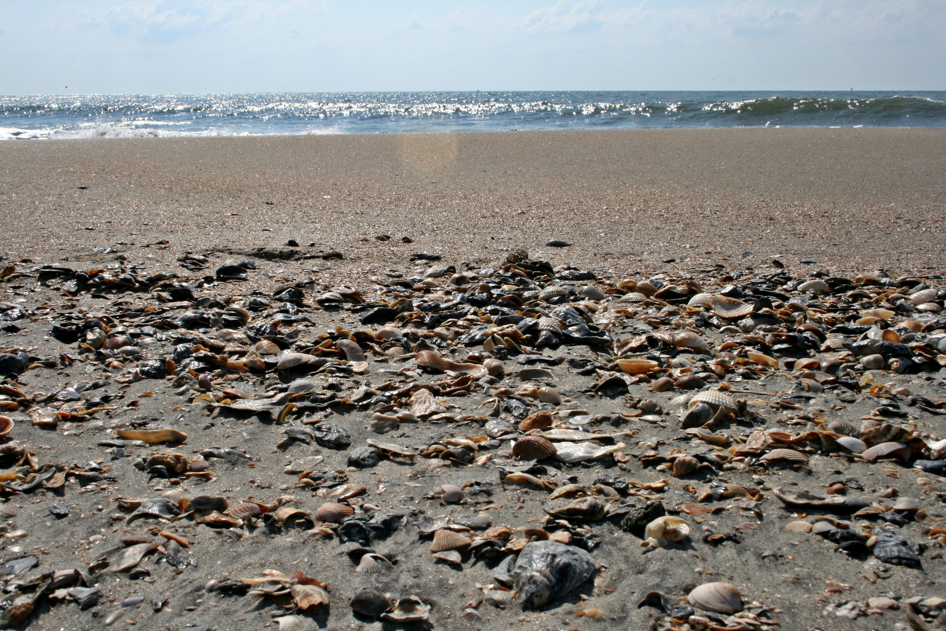 Море целовало пляж в песчаные десна ты. Песчаный пляж волгоград. Море целовало пляж в песчаные десна ты. Море целовало пляж в песчаные десна ты. Алитуб аксайский пляж.