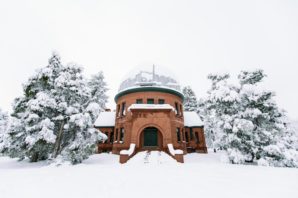 edificio in cemento marrone tra gli alberi