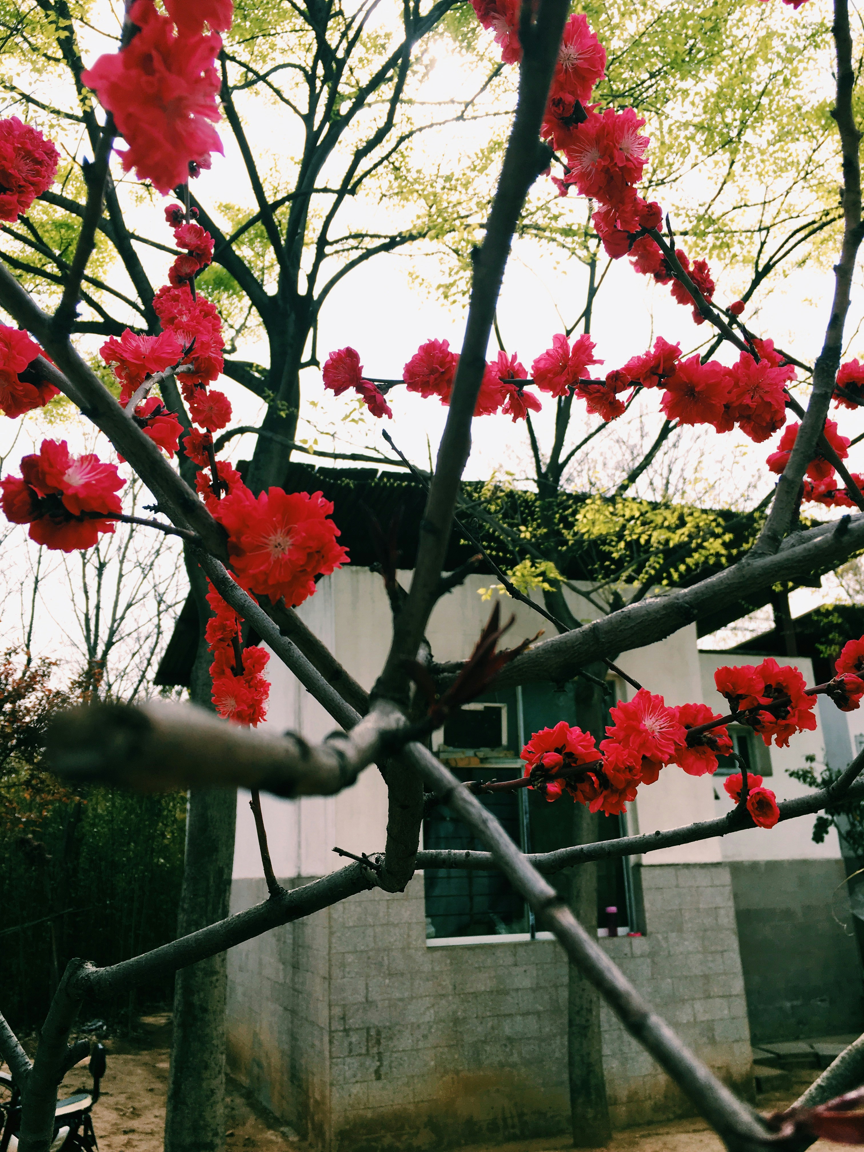 Free Unsplash photo from Ma Yalin