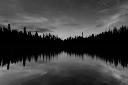 body of water near trees under cloudy sky