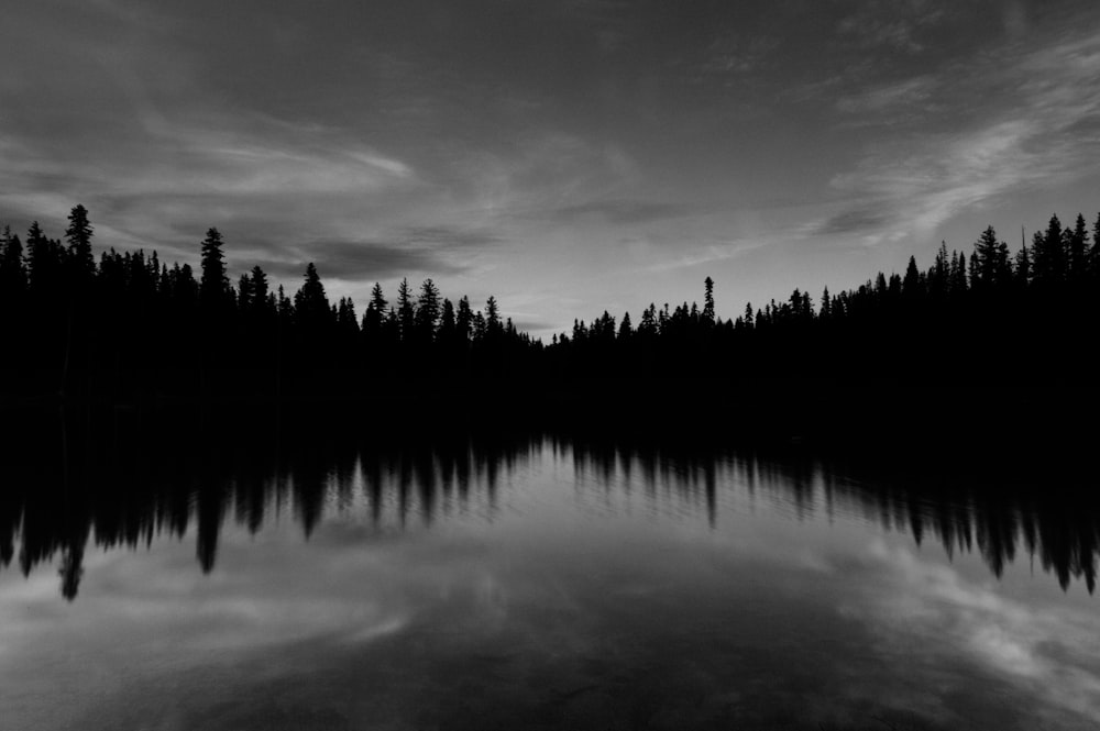 body of water near trees under cloudy sky