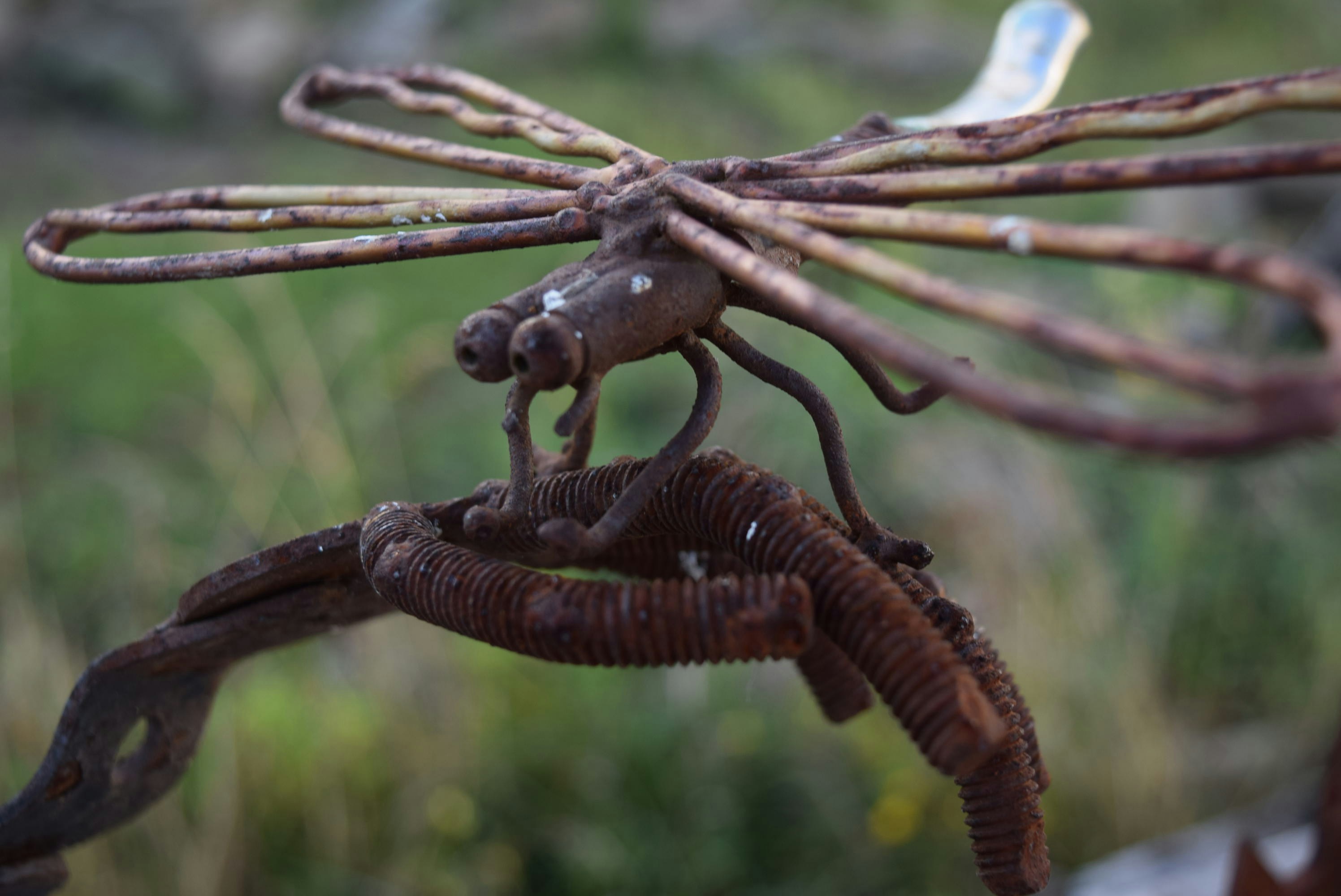 Free Unsplash photo from Denise Martell