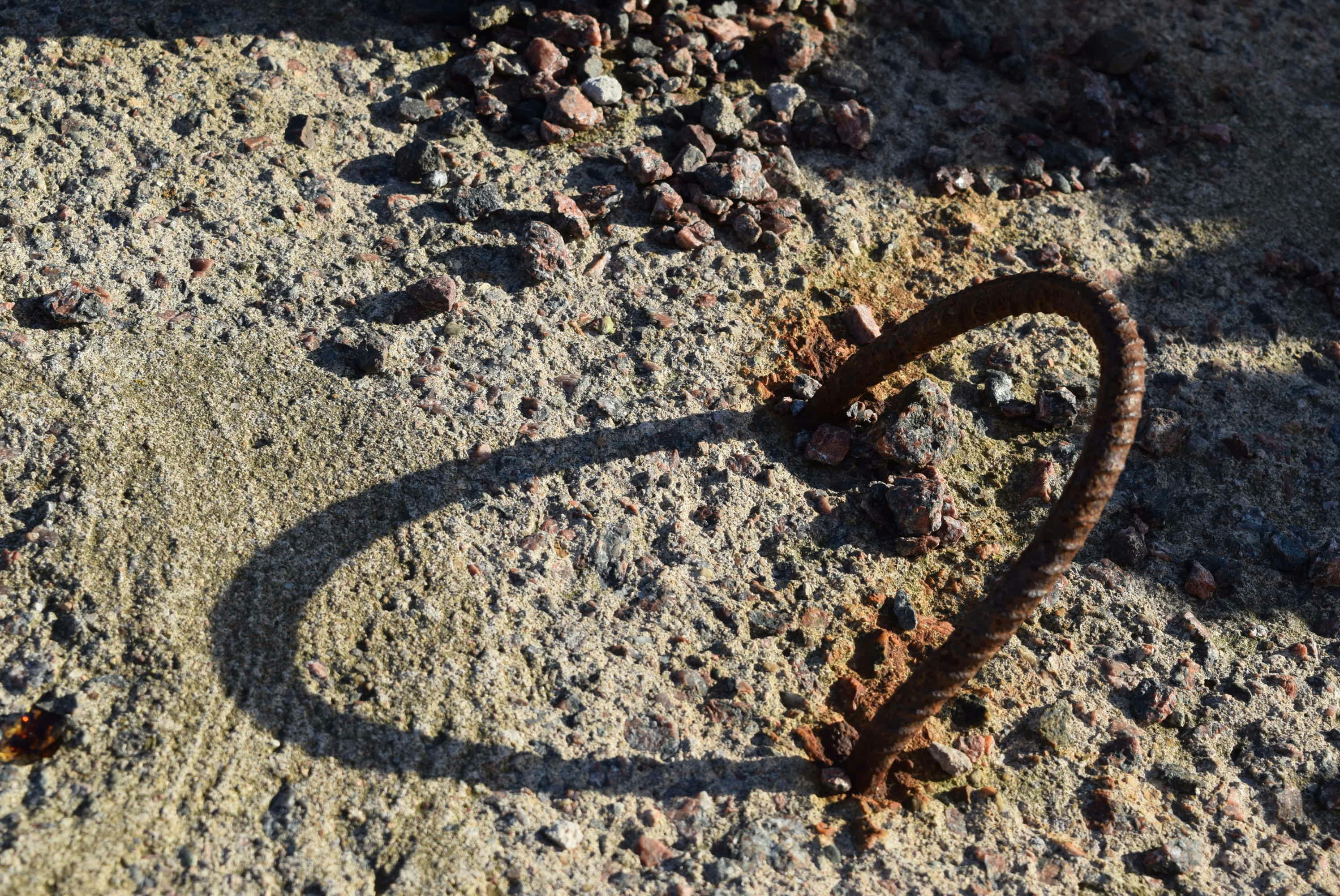 Free Unsplash photo from Denise Martell