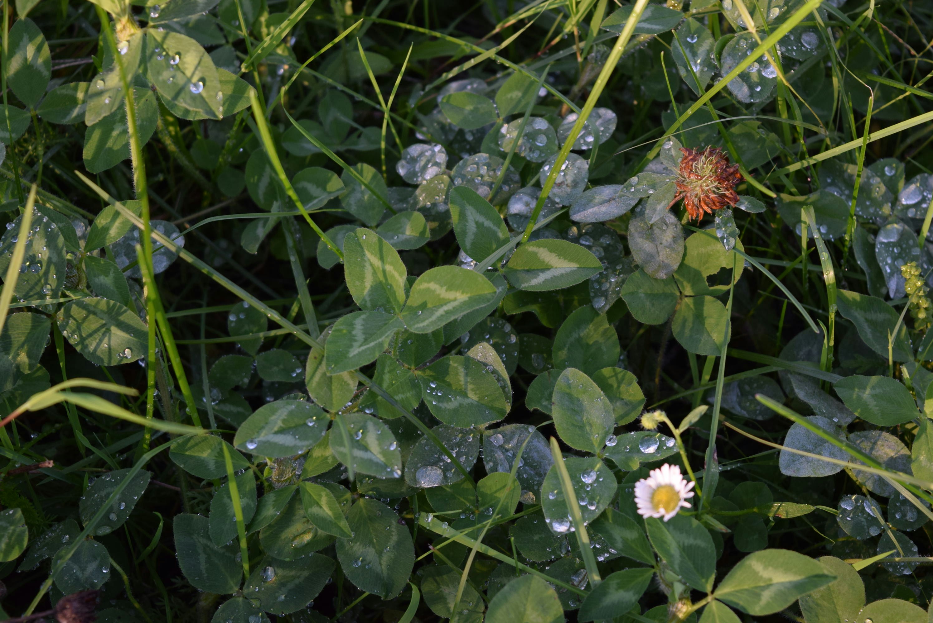 Free Unsplash photo from Denise Martell