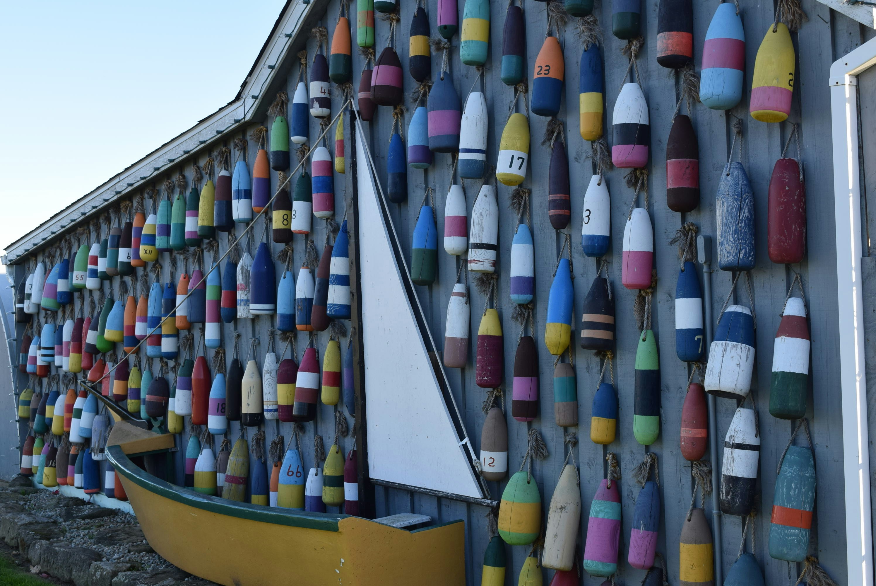 Free Unsplash photo from Denise Martell