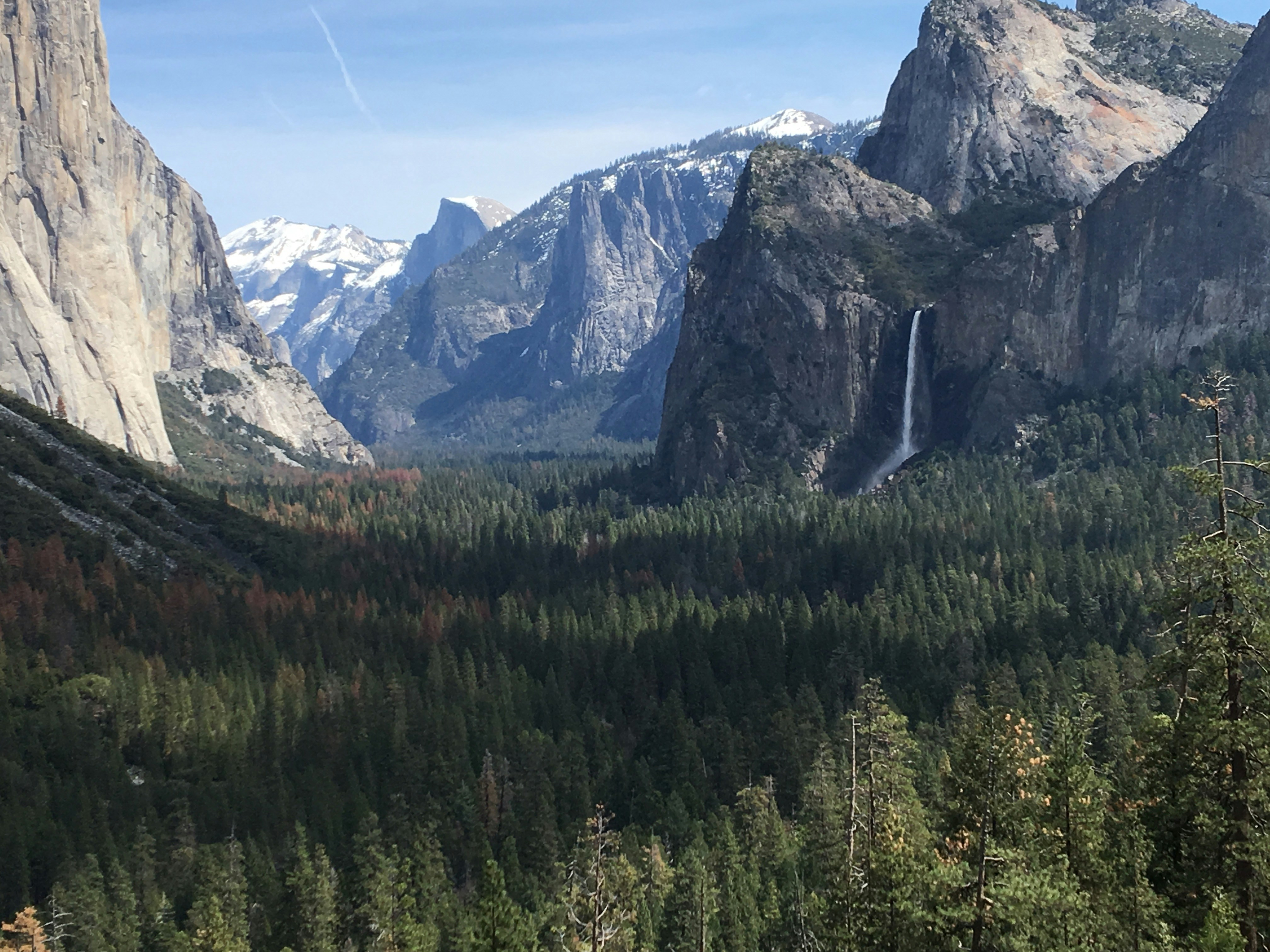 Free Unsplash photo from Andrew Tulloch