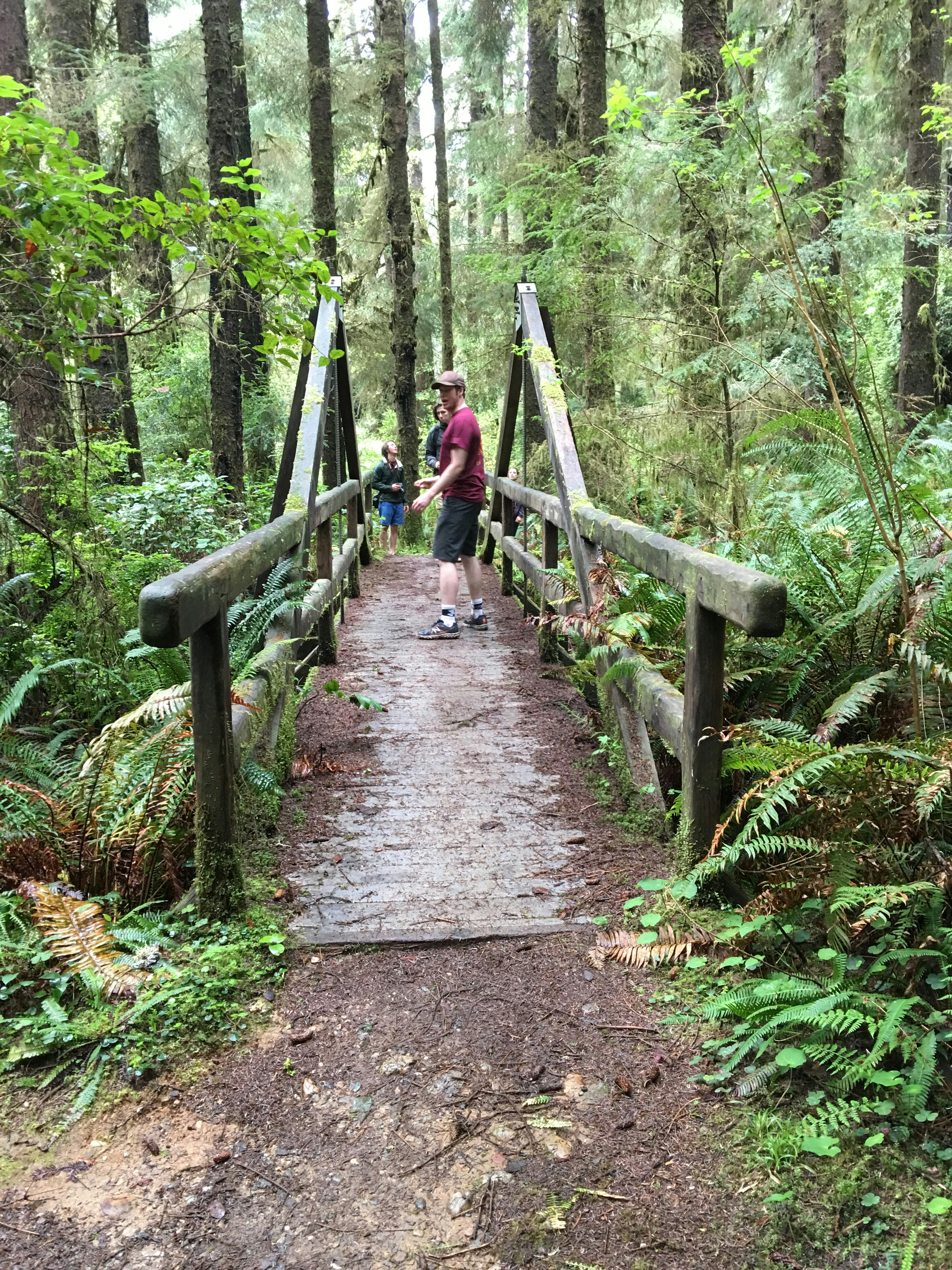 Free Unsplash photo from Andrew Tulloch