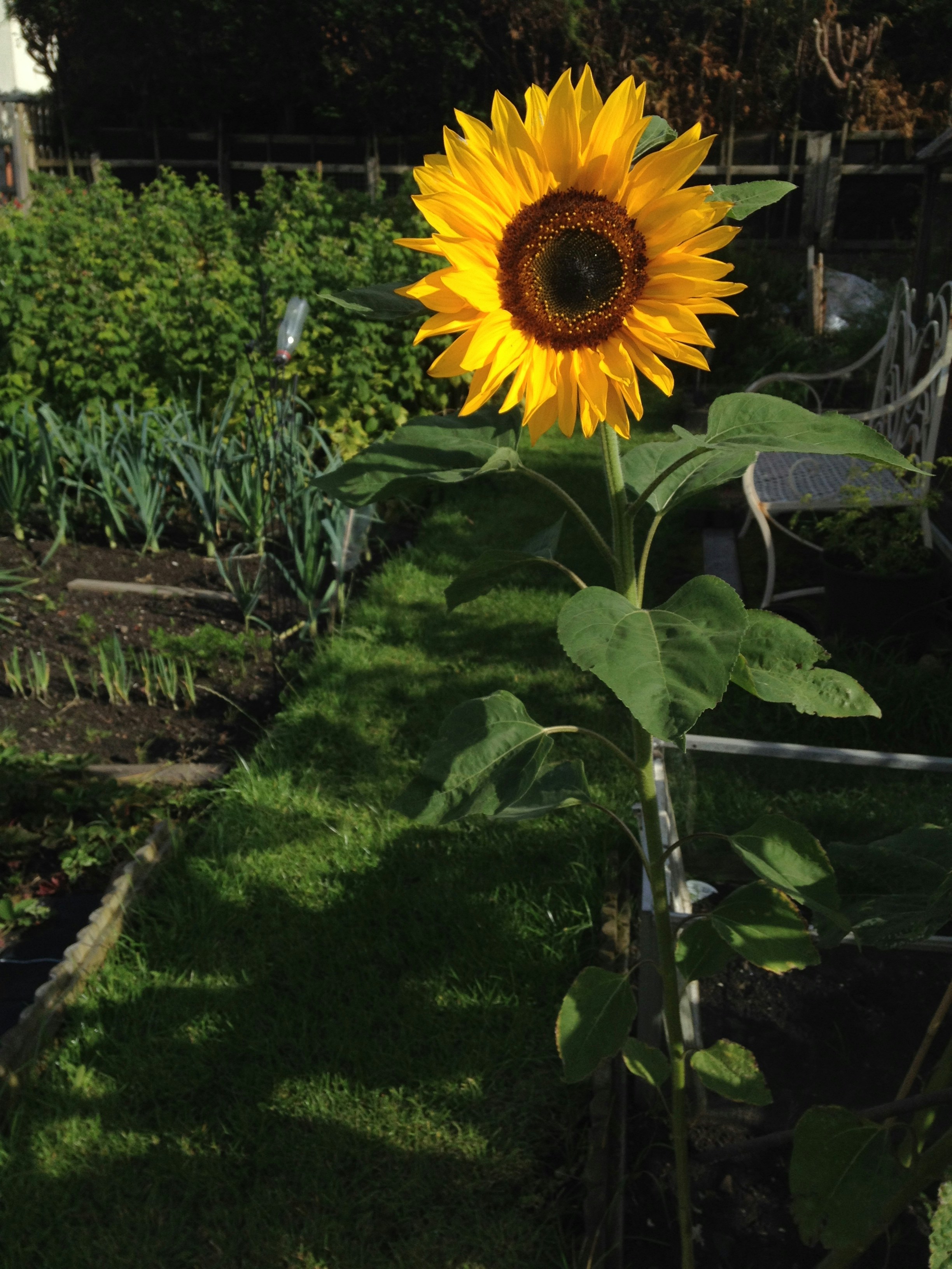 Free Unsplash photo from Angela Davies