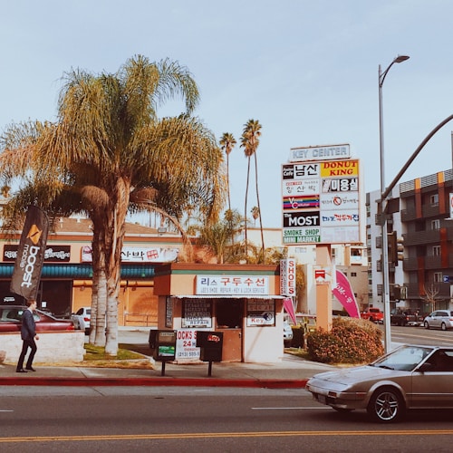 Urban street scene featuring a small convenience stand, palm trees, and a variety of store signs in both English and Korean. A person walks along the sidewalk, and a vintage car is parked on the street.