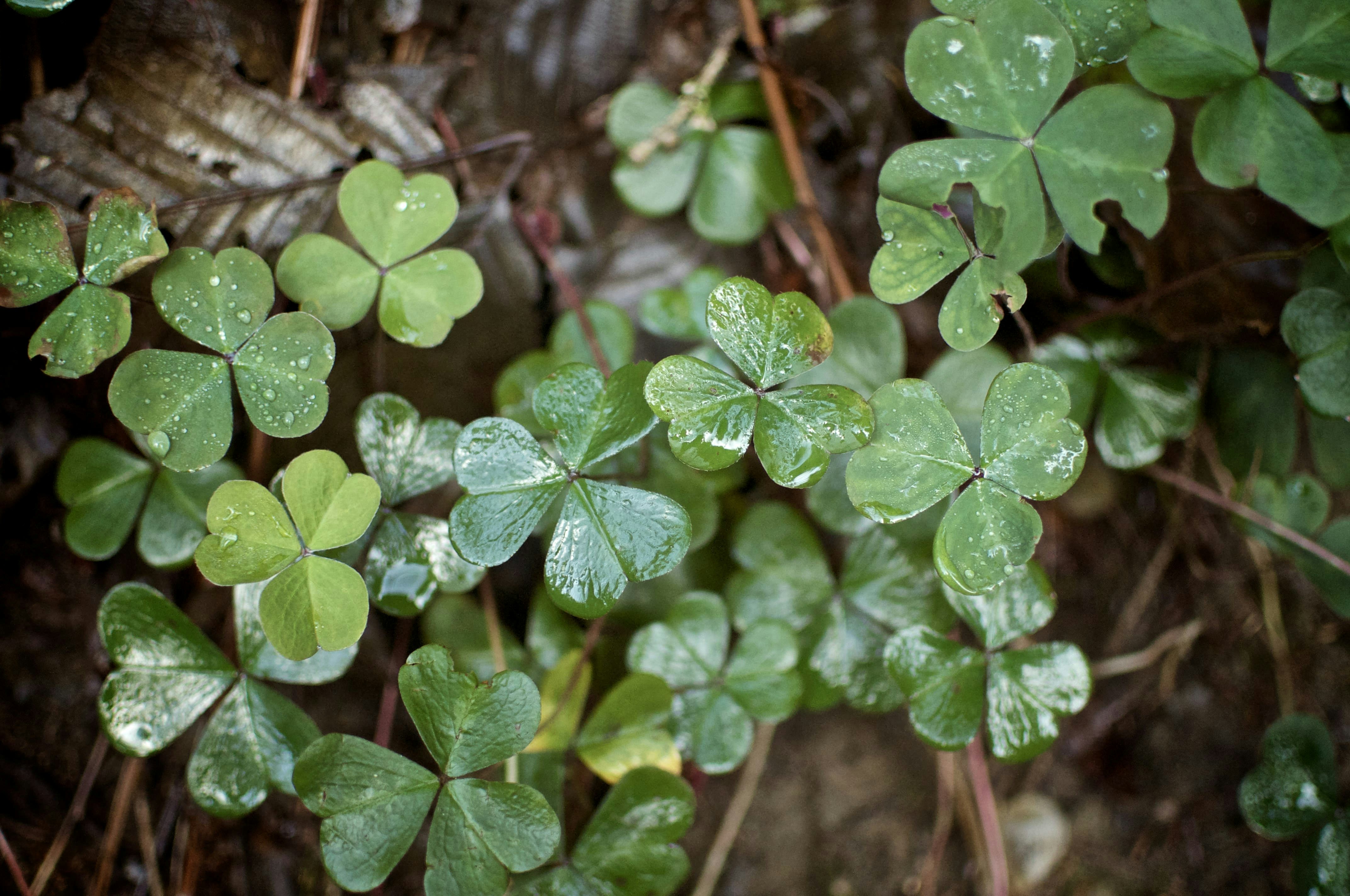 Photo By John Salzarulo