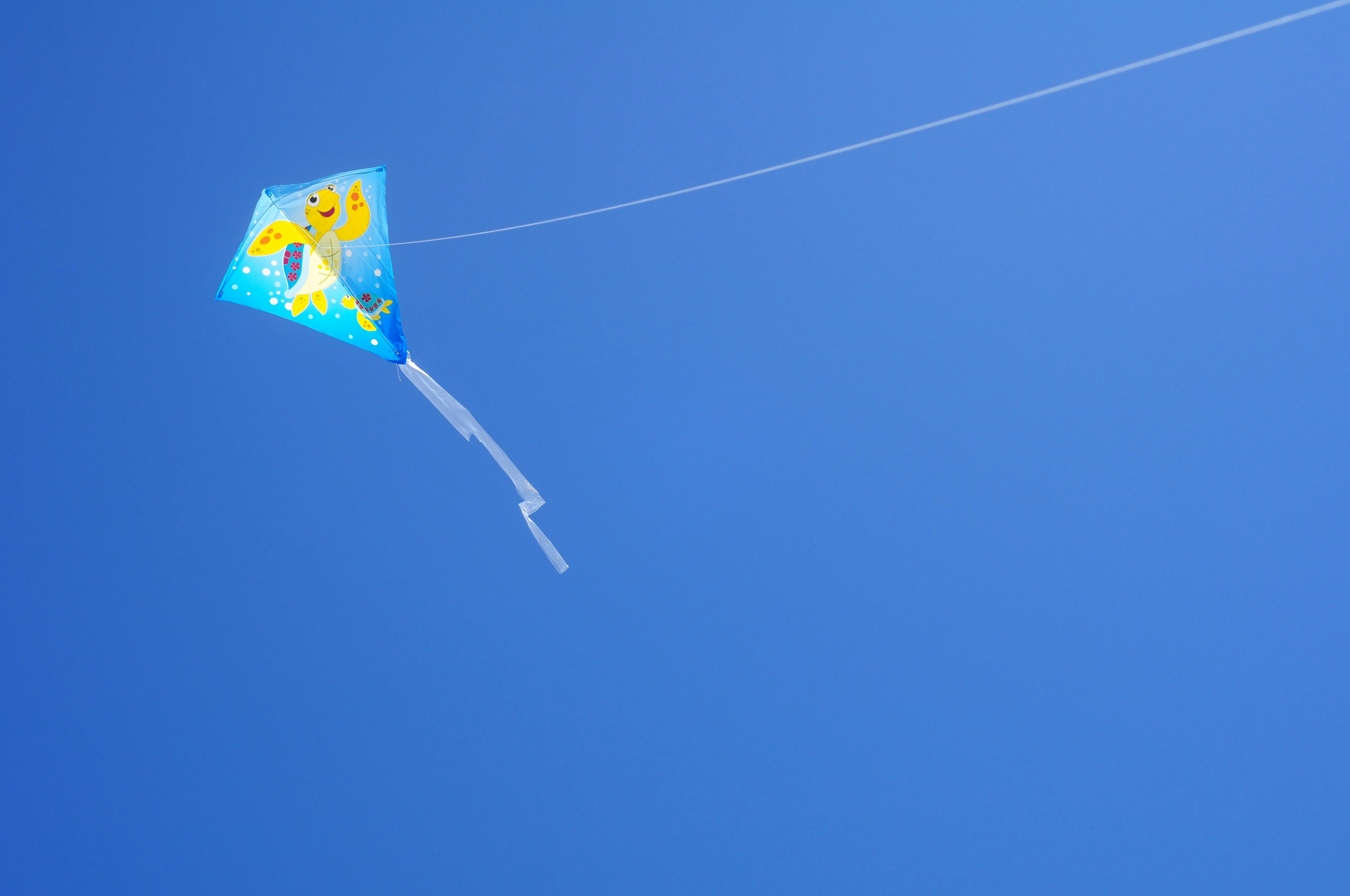 Photo By John Salzarulo