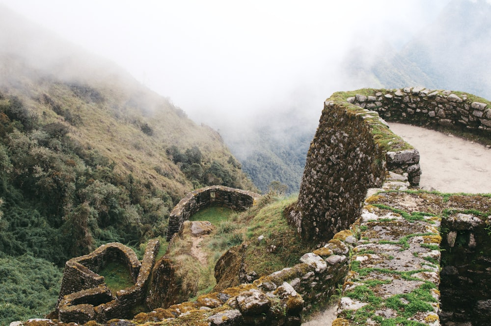 green grass mountain with fog