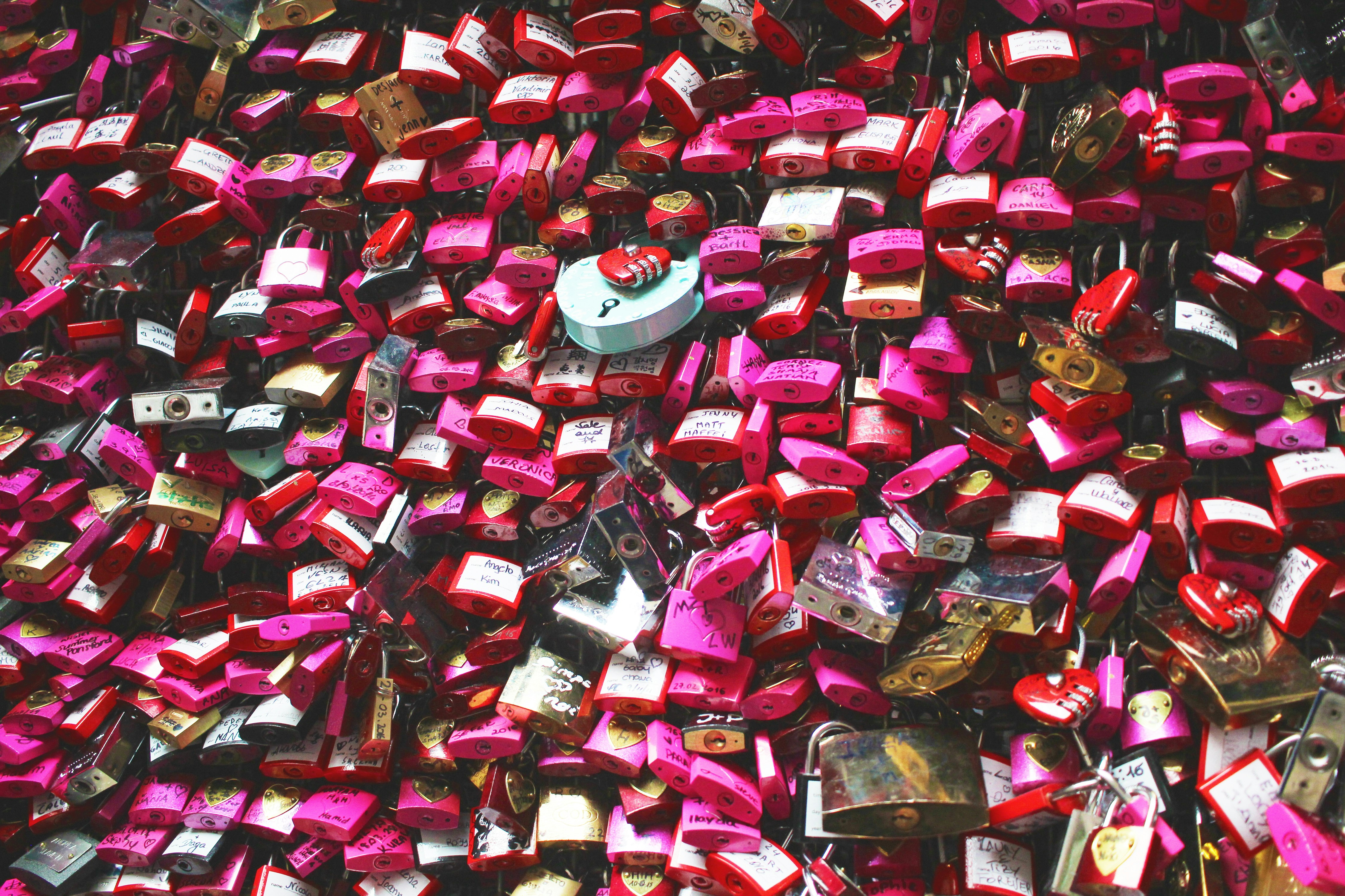 Photo By Nicole Harrington